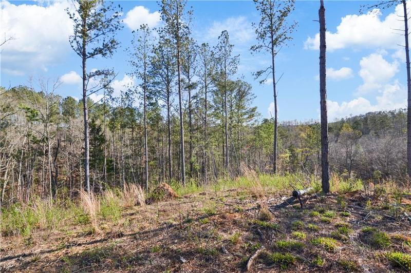 Image for property 146 Eddy Waters Circle, Talking Rock, GA 30175