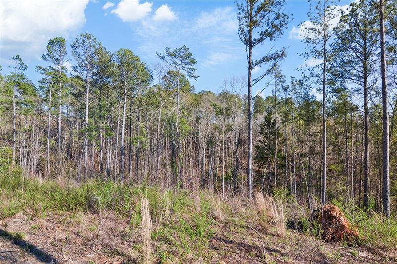 Image for property 146 Eddy Waters Circle, Talking Rock, GA 30175
