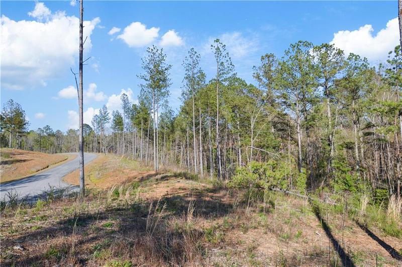 Image for property 146 Eddy Waters Circle, Talking Rock, GA 30175