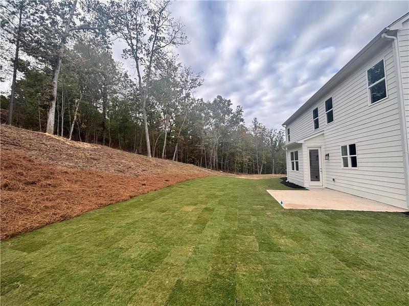 Image for property 337 Willow Cove, Canton, GA 30114