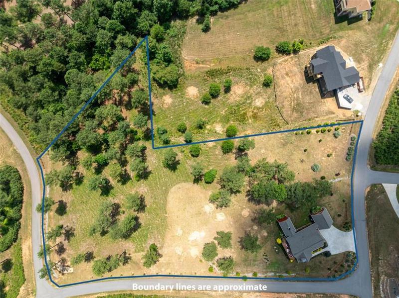 Image for property 1008 Ridge Pointe Way, Blairsville, GA 30512