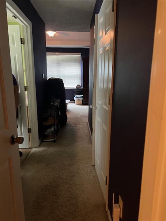 Image for property 135 Chadwick Drive, Macon, GA 31210