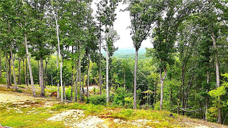 Image for property 1625 Brushy Mountain Road, Rockmart, GA 30153