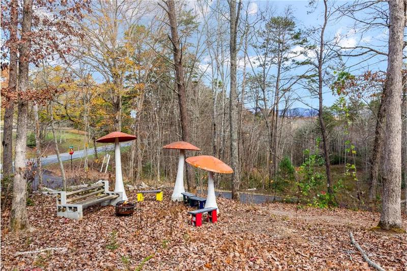 Image for property 24 Virginia Drive, Blue Ridge, GA 30513