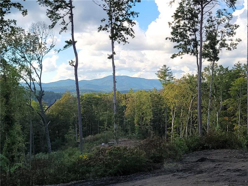 Image for property 1705 Old Northcutt Road, Ellijay, GA 30540