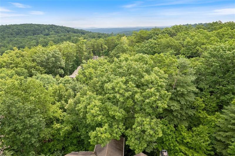 Image for property 82 BLAZINGSTAR Lane, Big Canoe, GA 30143