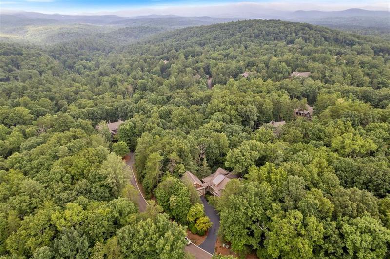 Image for property 82 BLAZINGSTAR Lane, Big Canoe, GA 30143