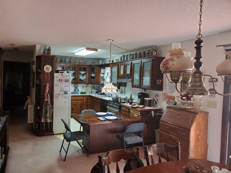 Image for property 358 Gold Mine Road, Dallas, GA 30157