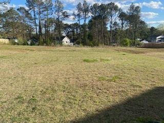 Image for property 4430 VERNON Street, Lilburn, GA 30047