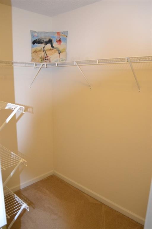 Image for property 1007 SYCAMORE Lane, Villa Rica, GA 30180