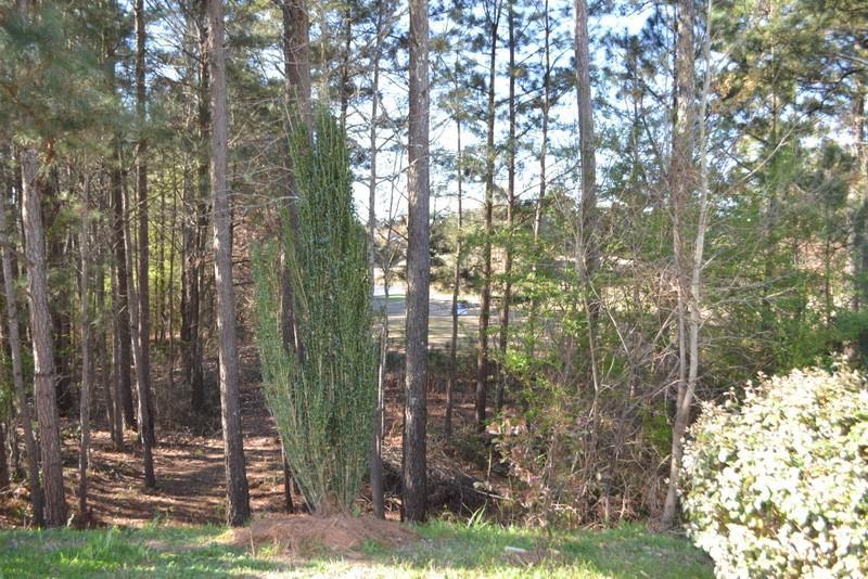 Image for property 1007 SYCAMORE Lane, Villa Rica, GA 30180