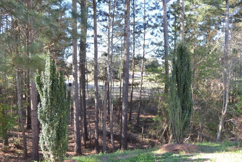 Image for property 1007 SYCAMORE Lane, Villa Rica, GA 30180