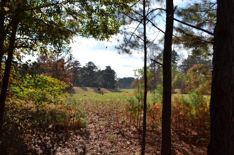 Image for property 1007 SYCAMORE Lane, Villa Rica, GA 30180