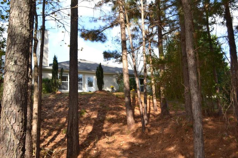 Image for property 1007 SYCAMORE Lane, Villa Rica, GA 30180