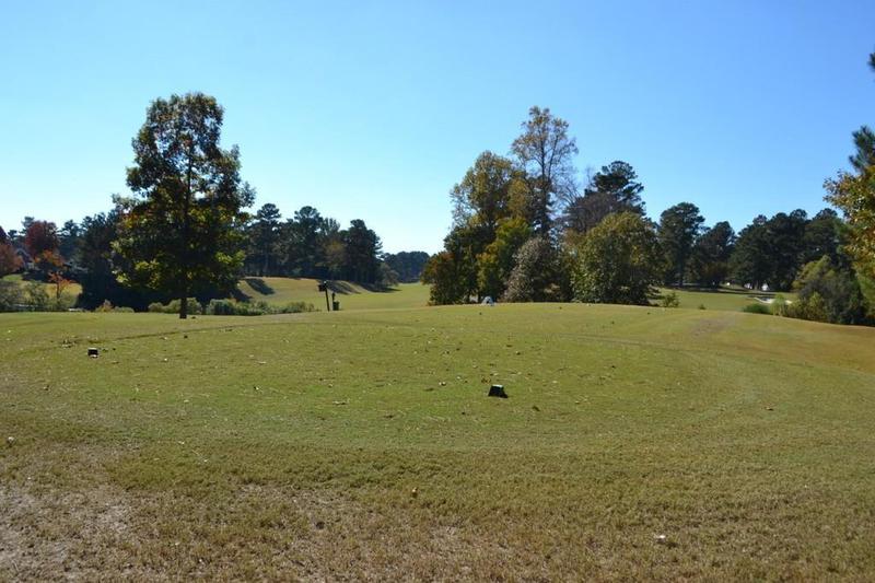 Image for property 1007 SYCAMORE Lane, Villa Rica, GA 30180