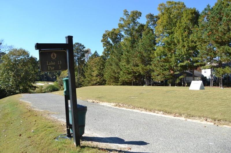 Image for property 1007 SYCAMORE Lane, Villa Rica, GA 30180