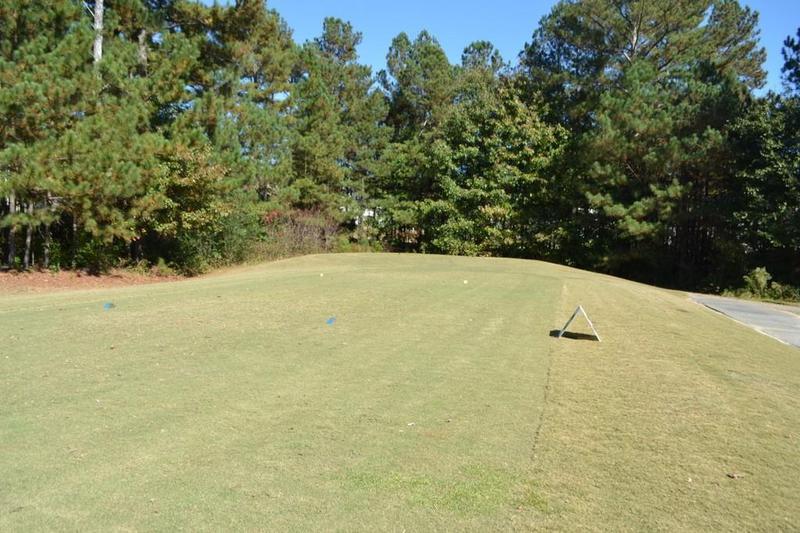 Image for property 1007 SYCAMORE Lane, Villa Rica, GA 30180