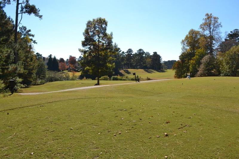 Image for property 1007 SYCAMORE Lane, Villa Rica, GA 30180