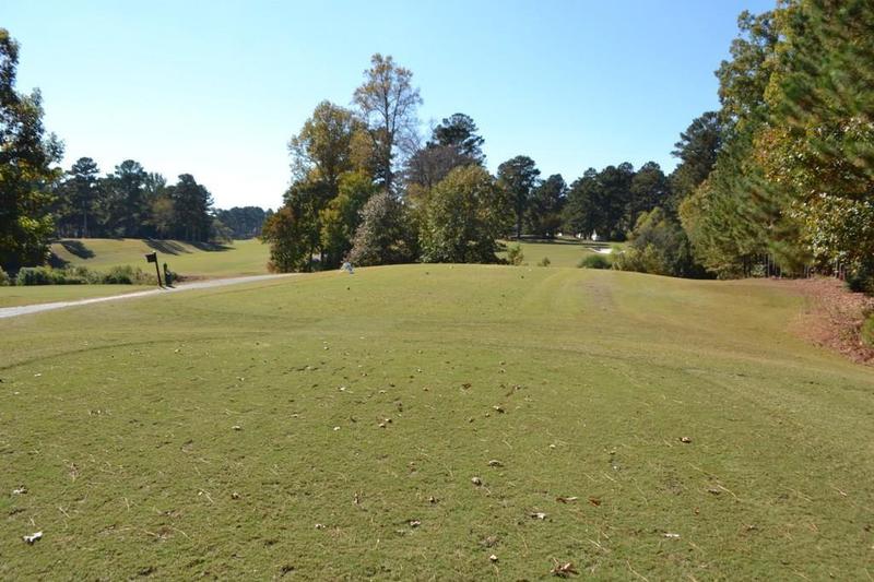 Image for property 1007 SYCAMORE Lane, Villa Rica, GA 30180