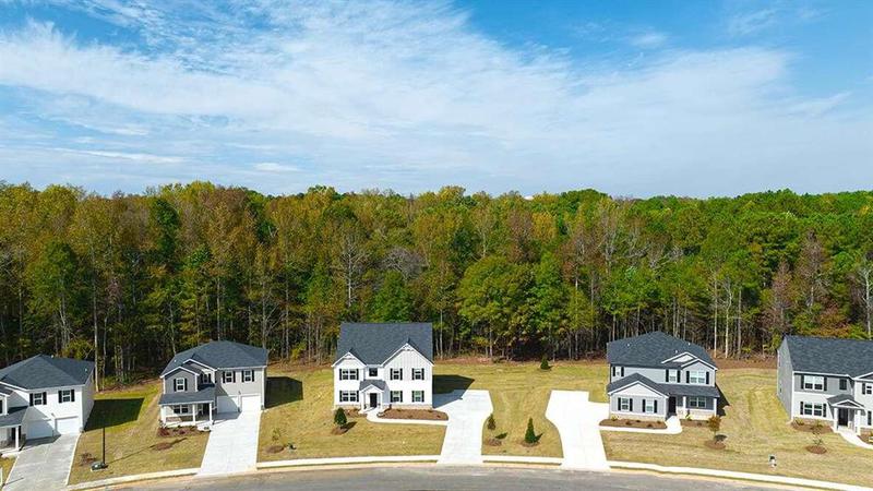 Image for property 126 Oakchase Park Lane, Hampton, GA 30228