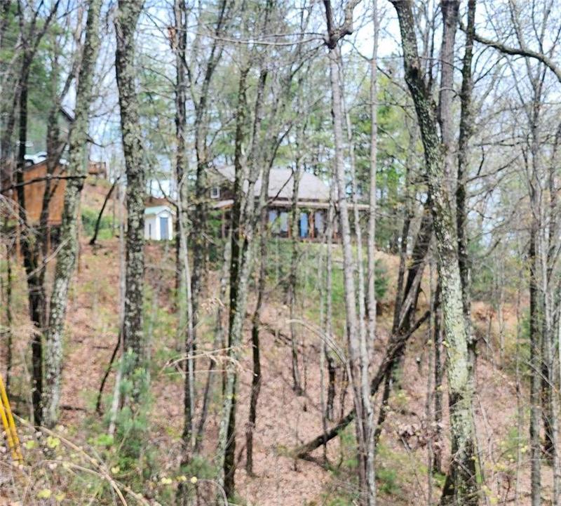 Image for property 870 Morton Drive, Ellijay, GA 30540