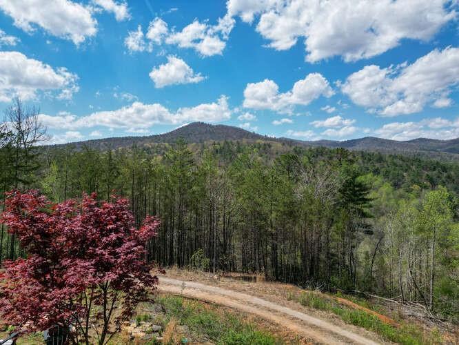 Image for property 389 Wilderland Trail, Cleveland, GA 30528