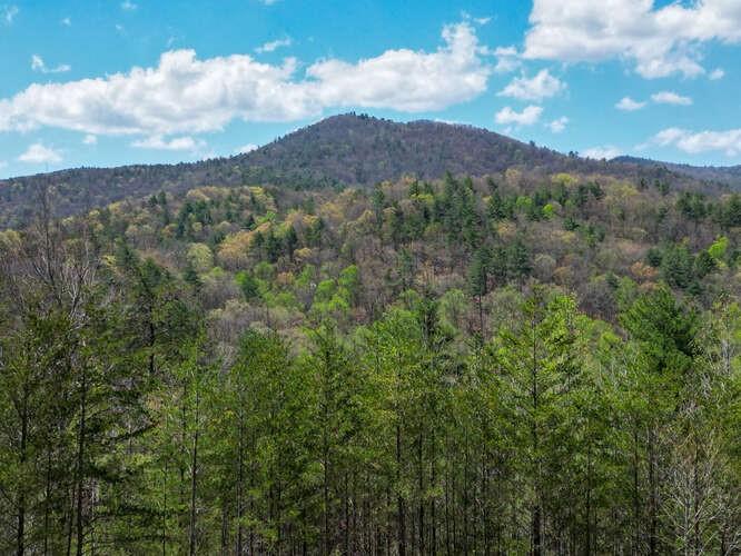 Image for property 389 Wilderland Trail, Cleveland, GA 30528