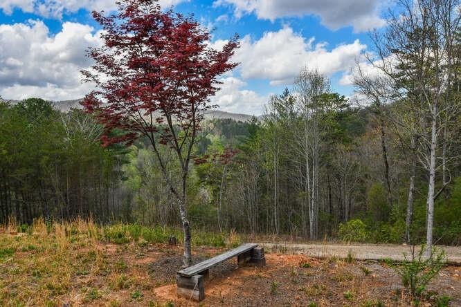 Image for property 389 Wilderland Trail, Cleveland, GA 30528