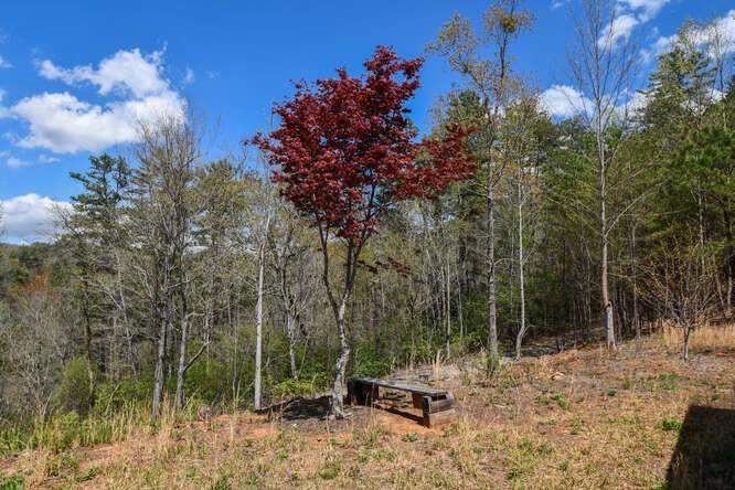 Image for property 389 Wilderland Trail, Cleveland, GA 30528