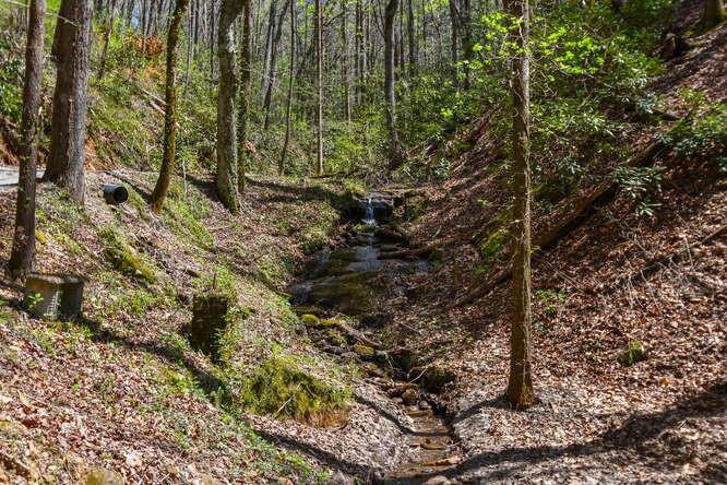 Image for property 389 Wilderland Trail, Cleveland, GA 30528