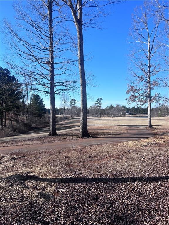 Image for property 3030 Fairway Drive, Villa Rica, GA 30180