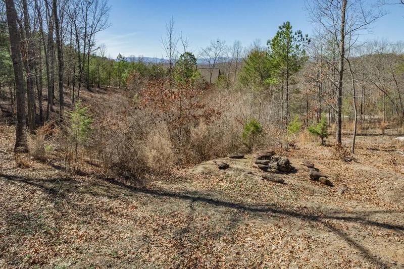 Image for property 560 Endless View Road, Mineral Bluff, GA 30559