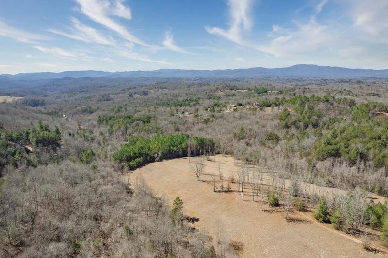 Image for property 560 Endless View Road, Mineral Bluff, GA 30559