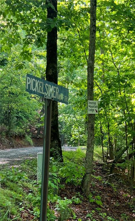 Image for property 512 Picklesimer Mtn Road, Morganton, GA 30560