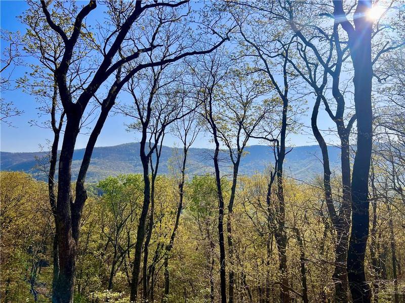 Image for property 190 View Trail, Jasper, GA 30143