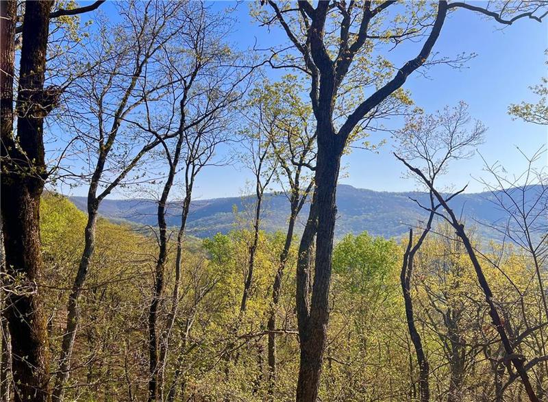 Image for property 190 View Trail, Jasper, GA 30143