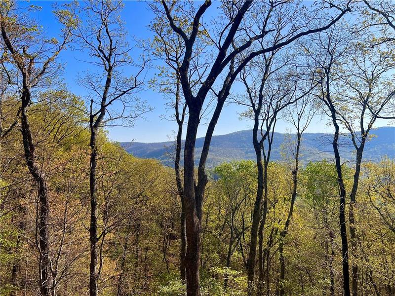 Image for property 190 View Trail, Jasper, GA 30143