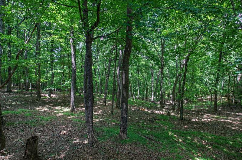 Image for property 354 Starcross Lane, Jasper, GA 30143