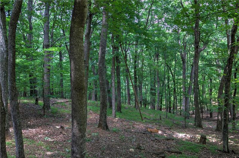 Image for property 354 Starcross Lane, Jasper, GA 30143