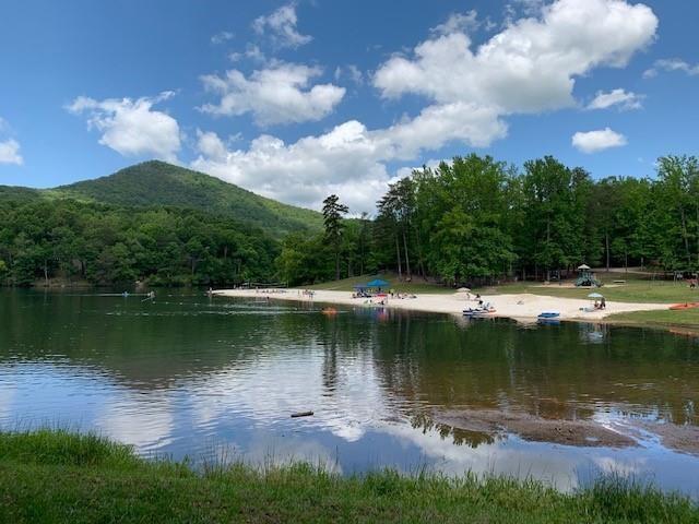 Image for property 354 Starcross Lane, Jasper, GA 30143