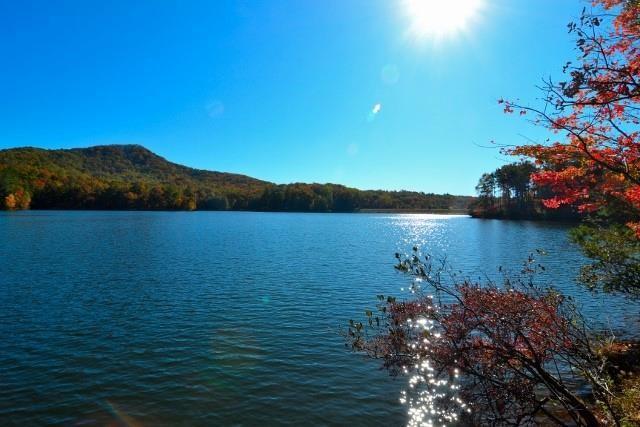 Image for property 354 Starcross Lane, Jasper, GA 30143