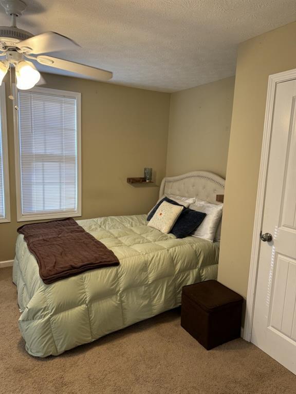 Image for property 1083 Morrison Moore Parkway, Dahlonega, GA 30533