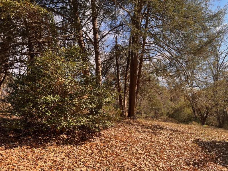 Image for property 1083 Morrison Moore Parkway, Dahlonega, GA 30533