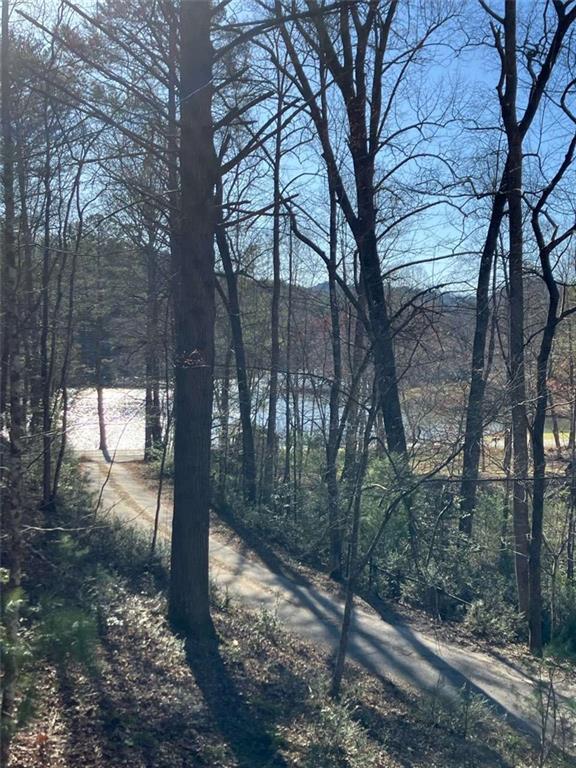 Image for property 68 Star Lake Lane, Sautee Nacoochee, GA 30571