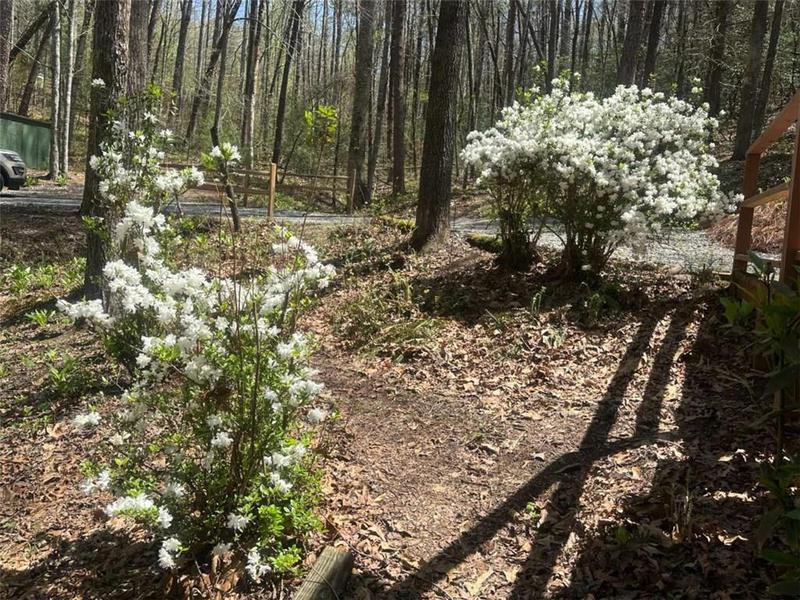 Image for property 68 Star Lake Lane, Sautee Nacoochee, GA 30571