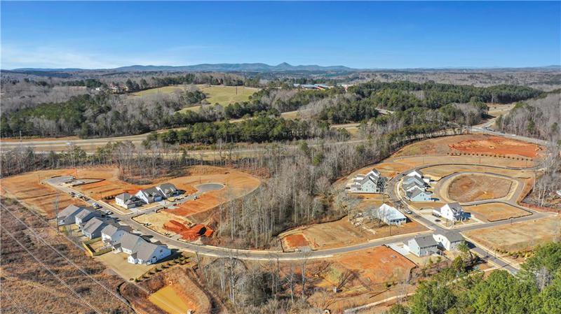 Image for property 123 Marble Tree Way, Ball Ground, GA 30107