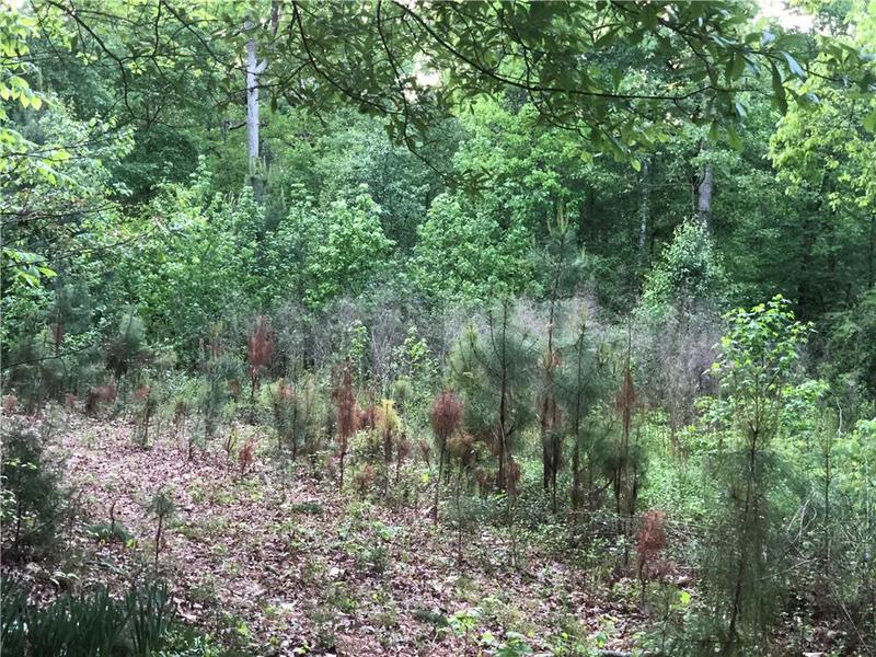 Image for property 2165 Old Salem Road, Conyers, GA 30013