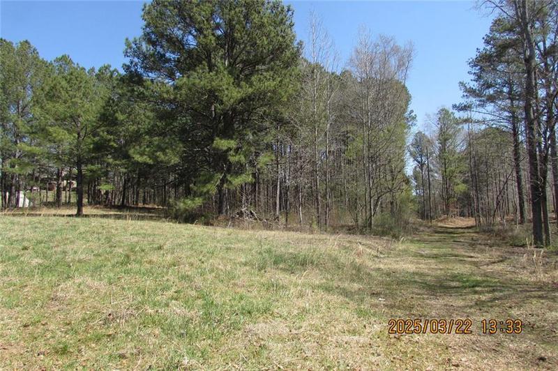 Image for property 8740 Atlanta Newnan Road, Chattahoochee Hills, GA 30268