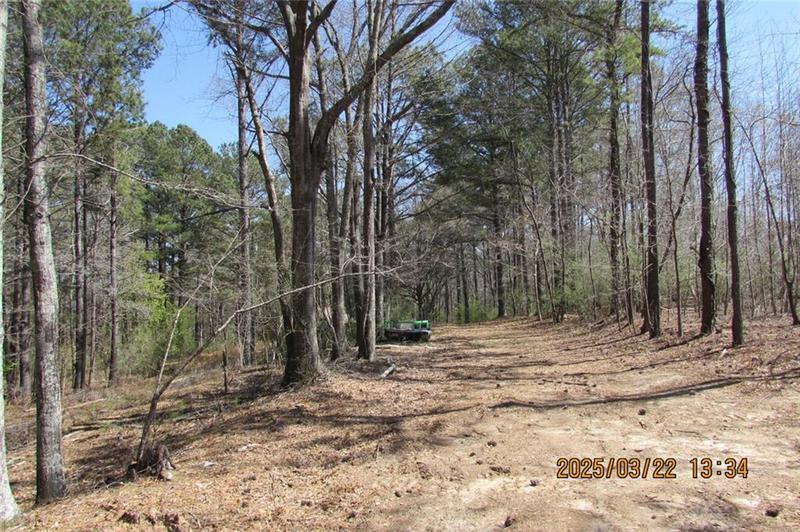 Image for property 8740 Atlanta Newnan Road, Chattahoochee Hills, GA 30268