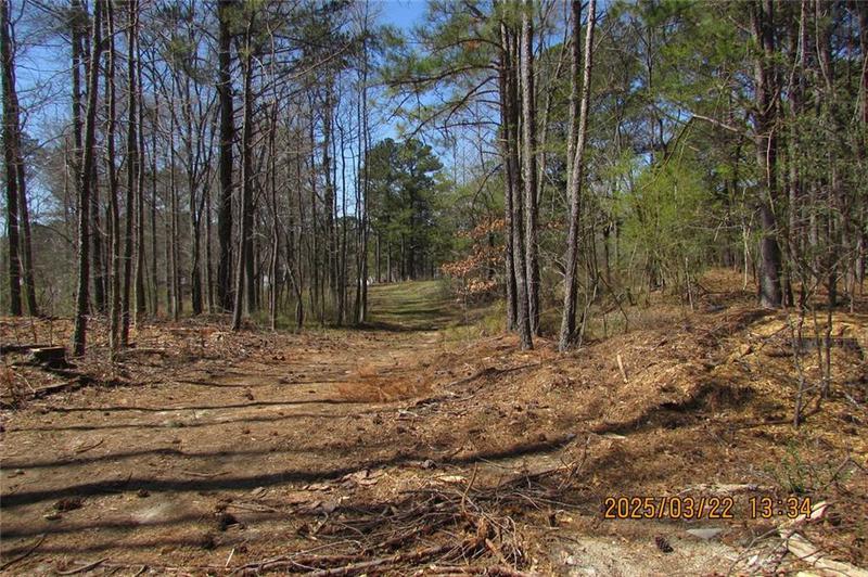 Image for property 8740 Atlanta Newnan Road, Chattahoochee Hills, GA 30268